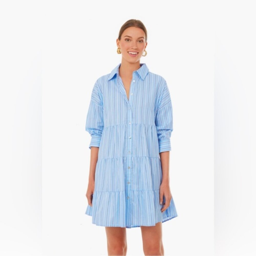 Tuckernuck Pomander Place striped blue white tiered Cara shirtdress

Firm on $35